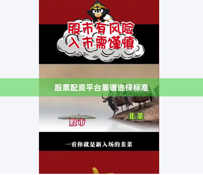 股票配资平台靠谱选择标准